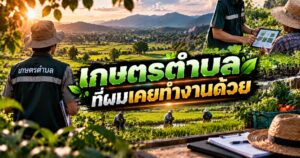 เกษตรตำบลที่ผมเคยทำงานด้วย 1 Agricultural Memories at Sunset