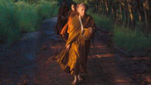 เหตุใดคนส่วนใหญ่จึงจำชาติก่อนไม่ได้