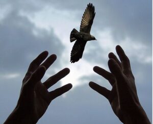 เสรีภาพและอิสรภาพคือวิญญาณแห่งความเป็นมนุษย์