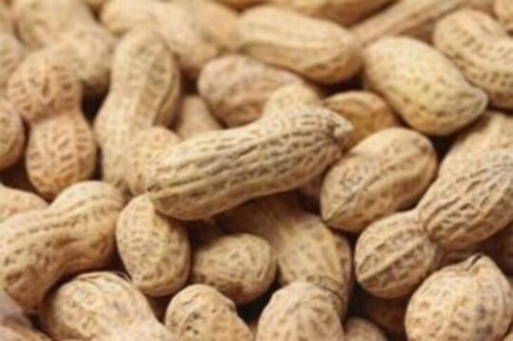 result 14726262591472626329l 300x200 1