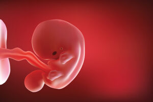 คัมภีร์กุรอานว่าด้วยการสืบพันธุ์ ตอนที่ 2