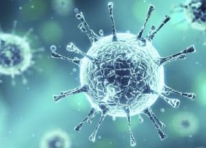 สงครามเชื้อโรค เป็นไปได้หรือ